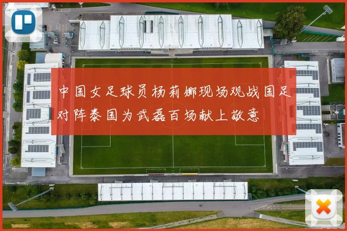 中国女足球员杨莉娜现场观战国足对阵泰国为武磊百场献上敬意