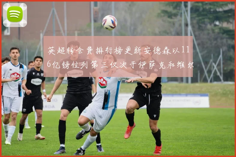 英超转会费排行榜更新安德森以116亿镑位列第三仅次于伊萨克和维尔茨