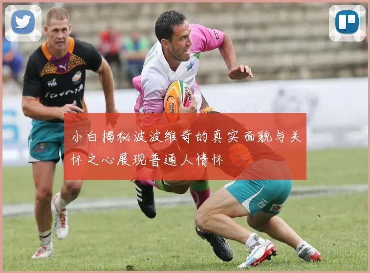 小白揭秘波波维奇的真实面貌与关怀之心展现普通人情怀