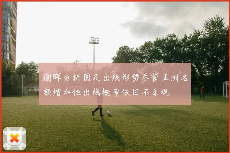 谢晖分析国足出线形势尽管亚洲名额增加但出线概率依旧不乐观